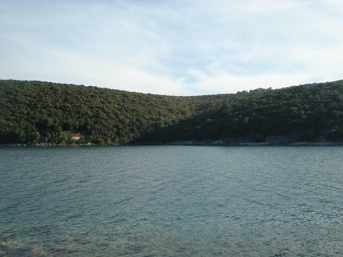 Apartament Tijano