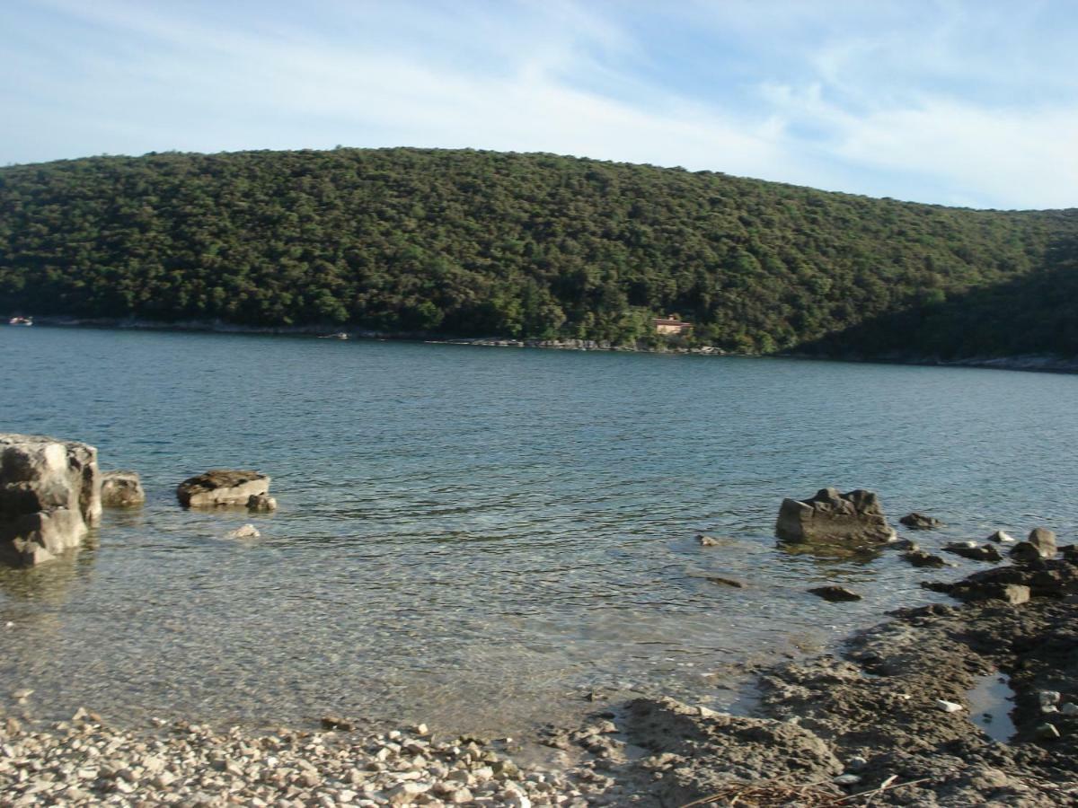 Tijano