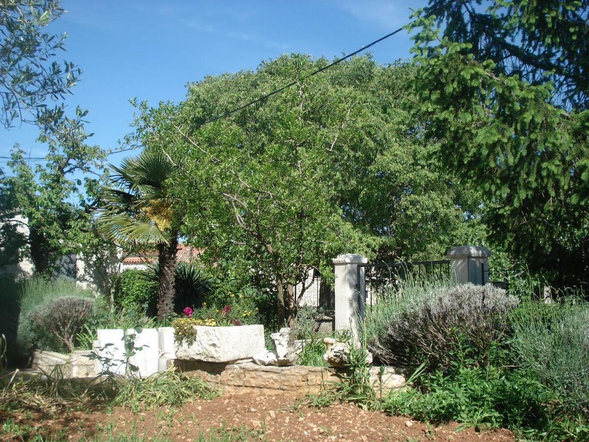 Tijano Apartment